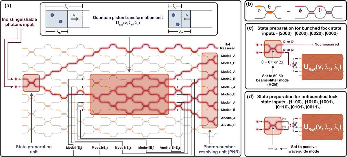 Programmable mesh with highlighted photon paths