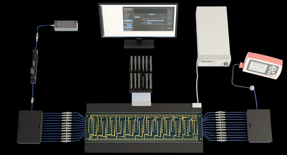 Programmable mesh platform for non-Hermitian synchronization